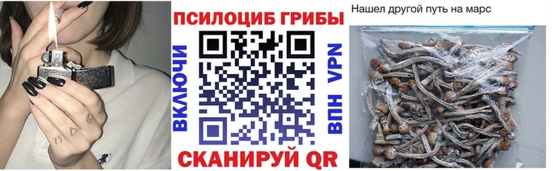 Купить где Бердск Галлюциногенные грибы мицелий